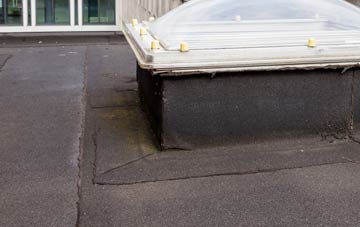 disadvantages of Rhosycaerau flat roofs