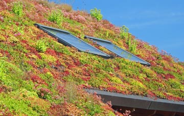 Rhosycaerau living roof systems